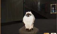哈利波特魔法觉醒布偶猫获得方法