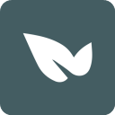 青藤之恋免登陆版