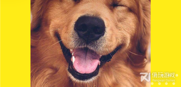 蛋挞视频历史版本手机软件合集