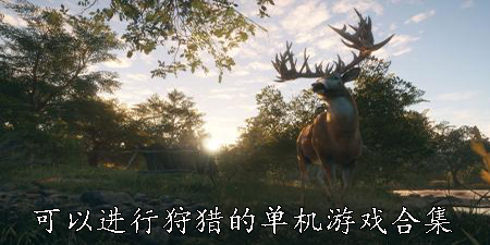 可以进行狩猎的单机游戏合集