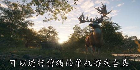 可以进行狩猎的单机游戏合集
