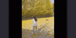 索尼音乐手机软件排行榜