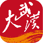 大武汉2024版