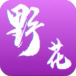 野花短视频纯净版