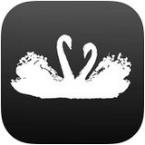 天鹅直播无限制版