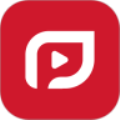 PP视频正式版
