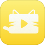 猫咪视频高清版