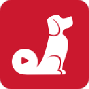 红小狗视频赚钱版