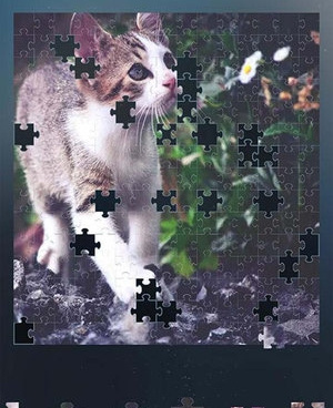 可直接玩的手游合集