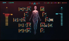 赛博朋克20772.0时停刀剑流Build详情