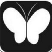 花语直播互动版