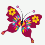 花蝴蝶直播2024版