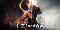 仁王2mod合集