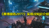 《赛博朋克2077》实用冷知识介绍