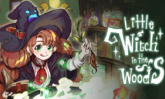 《林中小女巫》肯特问题答案