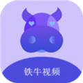 铁牛影视(在线观看)