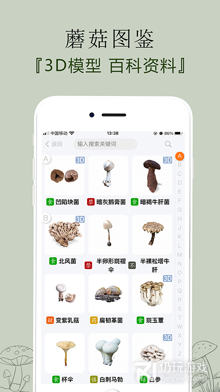 菌窝子