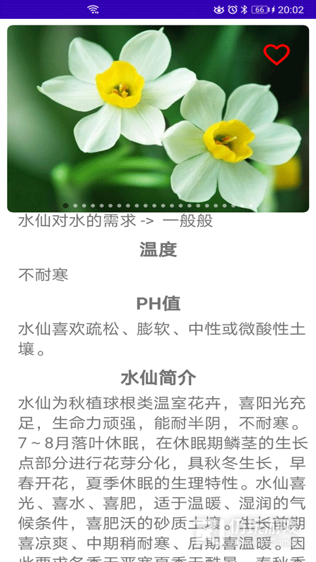 绿植花卉