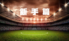 未来足球徽章指南