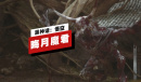 黑神话悟空晦月魔君妖王战演示详情