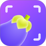 茄子水印相机最新版