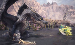 《怪物猎人世界》冰原DLC配装介绍