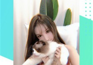 自带特效的拍摄手机软件排行榜