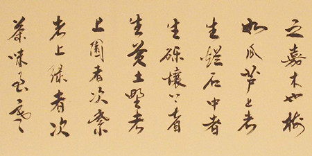 书法爱好者必备的