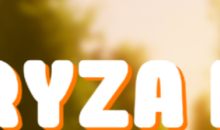 itch喜加一！《Ryza Roads》免费领取地址