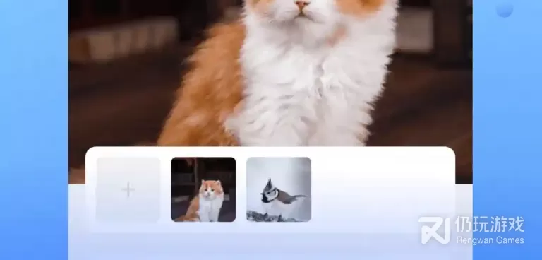 像比聊视频聊天这样的手机软件合集