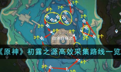 原神初露之源高效采集路线一览