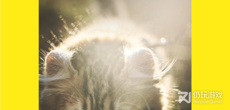 和蛋挞视频很像的手机软件合集