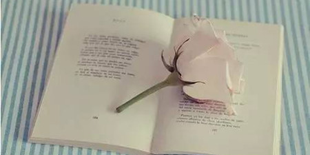 心情语录手机软件合集