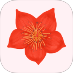 爱我崇左最新版