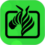 斑马视频最新版