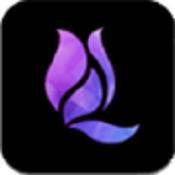 午夜兰花直播免费会员版