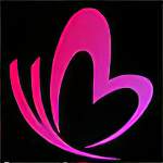 粉蝶视频完整版