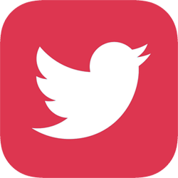 喜鹊视频纯净版