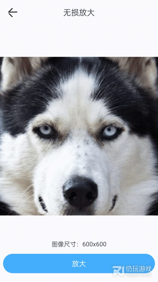 测自己未来的样子手机软件合集