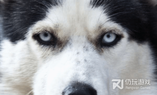 测自己未来的样子手机软件合集