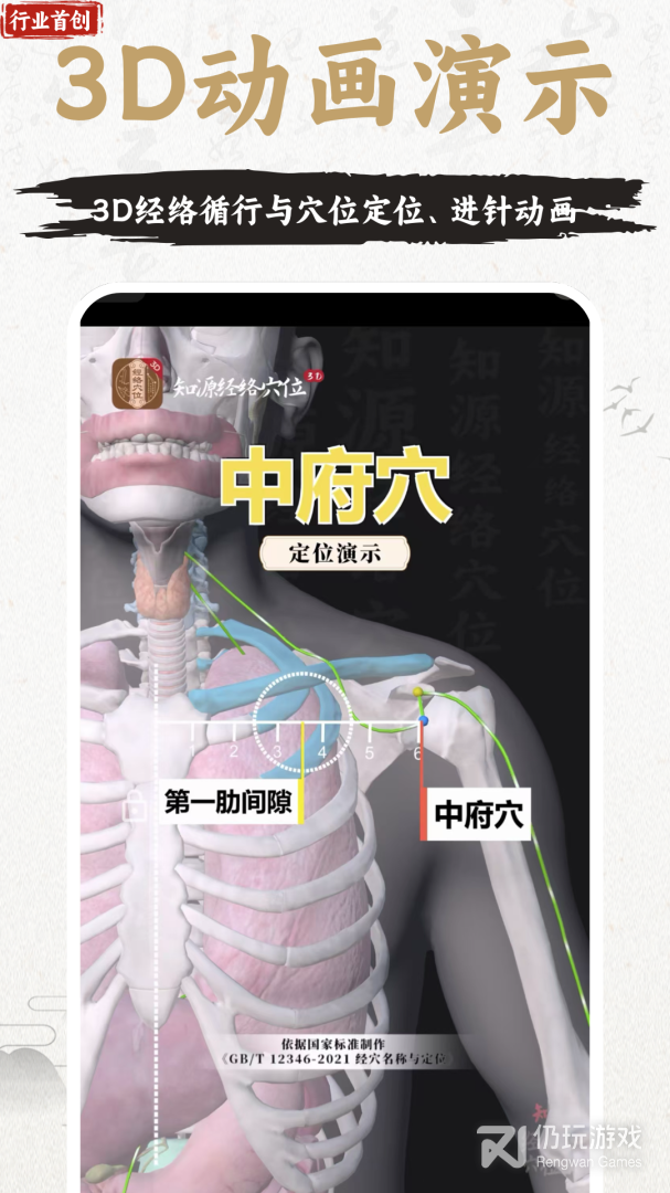 中济经络穴位