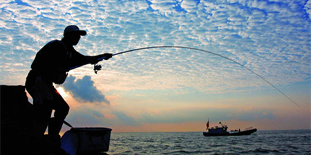 钓鱼信息查询手机软件合集