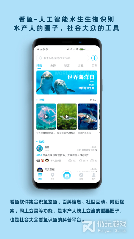 看鱼