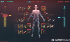 赛博朋克20772.0版枪械狂暴流加点一览