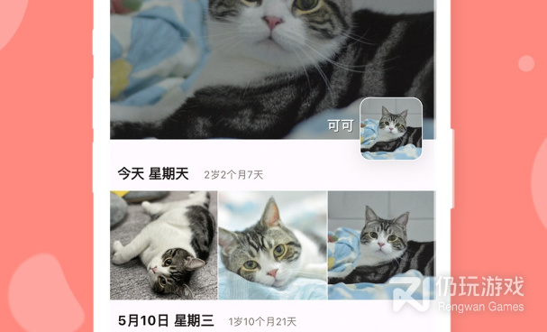 狗狗币手机软件合集