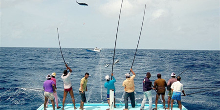 钓鱼交流社区手机软件合集