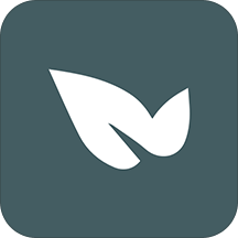 青藤之恋同城版