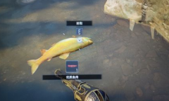 《生化危机8》优质鱼肉位置介绍