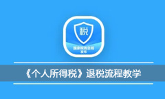 《个人所得税》退税流程教程