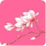 红玫瑰直播移动版